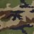 French Camo